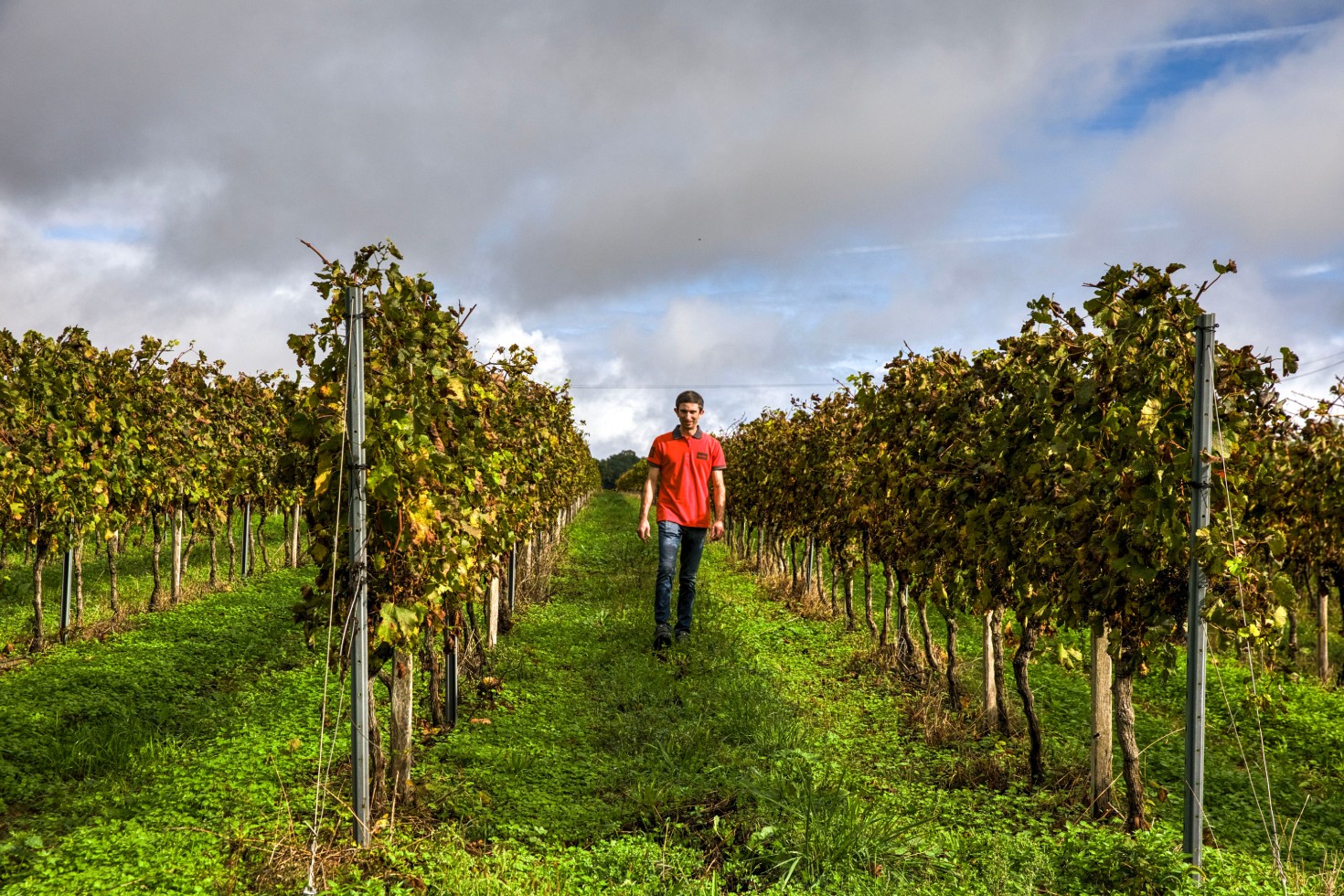 Julien Rouger dans les vignes de la Propriété Rouger à Chermignac